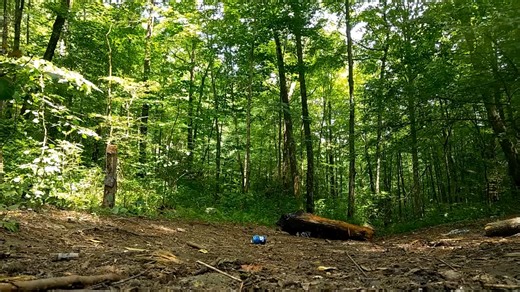 A 500-pound log sat over 5 pounds of tannerite and the camera was ready