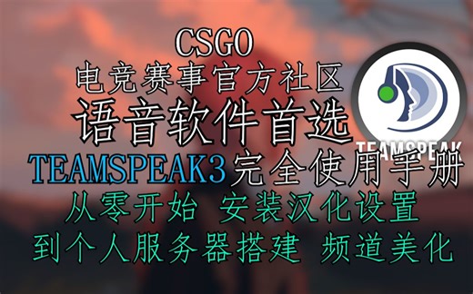 Teamspeak3完全使用手册（2023） 从安装汉化到服务器搭建！一个视频从零基础到上手