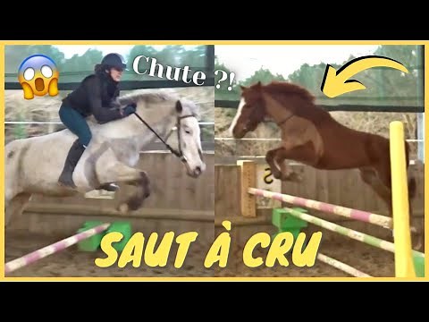 [COURS] Saut d'obstacles à cru et Dream saute 1 mètre 🤪 ! 20/02/21 - CS'o Landreau