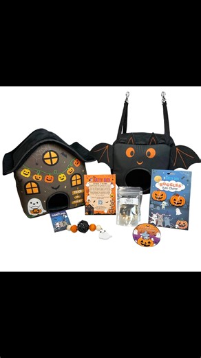 October 2025 Ratty Box #halloween #petrats #unboxing #rats