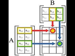SEM1 (2019) - Stats recap