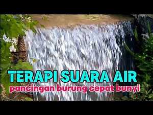 Terapi Suara Air Untuk Pancingan Burung Cepat Bunyi, Terapi Air Gemericik