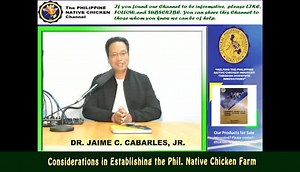8.5K views · 432 reactions | Kanative alam mo ba ang mga dapat isa-alang-alang sa pagpatayo nga Philippine native chicken Farm? Tayo na sa video na ito at matuto. | Philippine Native Chicken | Facebook
