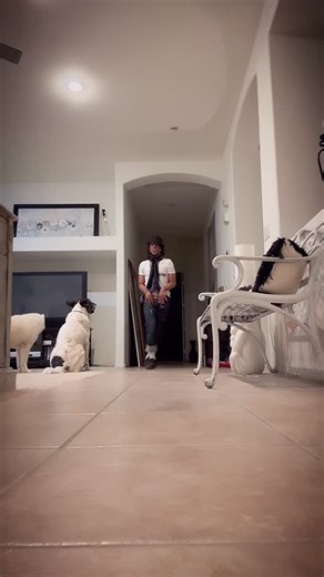 #halloween #michaeljackson #dance #stomp #brothersjohnson | Art of Vital