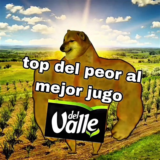 Top 10 Jugo Del Valle: Clasificación y Opiniones