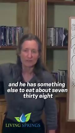 Part 9 of 20. Barbara O'Neill explains the importance of taking care of your gut. Taken from the Youtube video: Caring for the Gut- Barbara O'Neill. Find full video here: https://youtu.be/YiKdNbo40Cw 🌐 www.livingspringsretreat.com 🌀 www.facebook.com/lsretreat ℹ www.linkedin.com/company/living-springs-retreat 🎞 www.youtube.com/@LivingSpringsRetreat 👉 www.tiktok.com/@livingspringsretreat 📸 www.instagram.com/living_springs_retreat #barbaraoneill #healthtips #healthyliving #healthybodies #healt