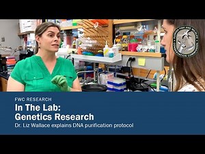 In the Lab: Genetics Research