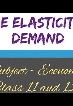 Price Elasticity of Demand Economics Project File Class 11 and 12 Commerce Eco Economy CBSE by MM