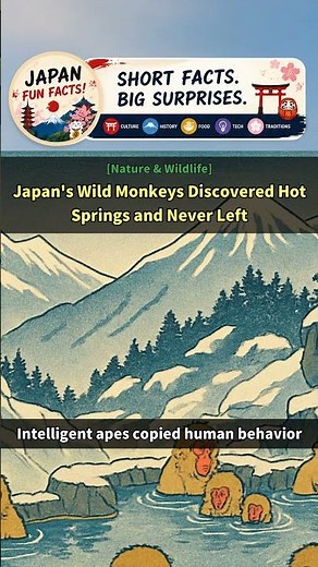[Japan Facts] Japan's Wild Monkeys Discovered Hot Springs and Never Left