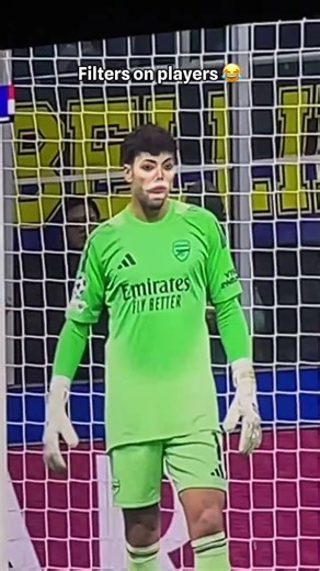 Why do they work so well 🥀 #birdtrend #helpmemakethismakesense #music #soccer #premierleague