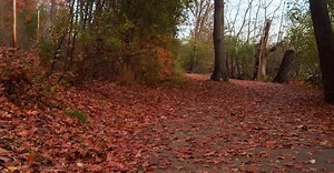 Video by Alex  Midence on Pexels