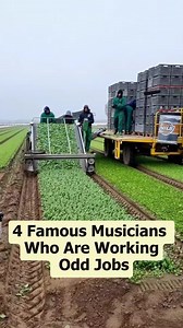 75K views · 918 reactions | 4 famous musicians who are working odd jobs #celebrities #celebrity #movie #foryoupage #usa | Logstead Plantation | Facebook