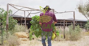 Carrying fresh greens, farmer walking towards barn, Vegan Food Locally Grown animation over