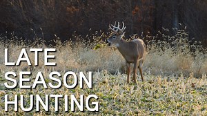 21K views · 92 reactions | Thanksgiving is over and our hunting tactics are beginning to transition into late season. This week on Land Beat, we discuss late season food sources and how you can be more succesful as the temperatures begin to drop. | Whitetail Properties | Facebook