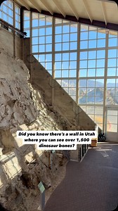 57K reactions · 23 shares | Dinosaur national Monument in Utah is a...