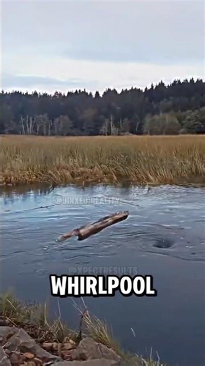 He Threw Wood Into a Whirlpool... Nobody Expected This 😱