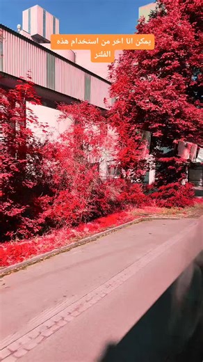 Exploring the Red Tree and Grass Filter in Europe