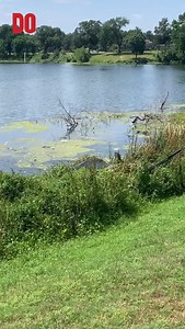 John Choberka’s son-in-law went missing in December of 2024, and he is out at Lake Cliff Park hoping for answers as Dallas police recover submerged vehicles. 🎥 @emmaeruby #dallastx #dallasnews #breakingnews #dallascrime #dallaslife #dallasliving #truecrime #oakcliff #lakecliff #lakecliffpark #dallasobserver | Dallas Observer