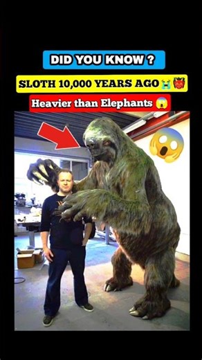 Sloths now v/s then🫨😱☠️🥶 extinct animals #shorts #extinctanimals