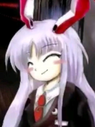 Exploring the Touhou Project and Bunny Characters