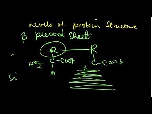 PROTEINS | MADE SIMPLE