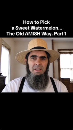 How to Pick a Sweet Watermelon the Old Amish Way (Part 1)