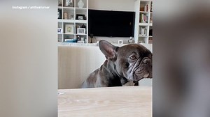 Anthea Turner reveals how she got her black eye