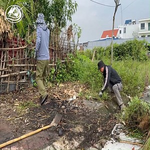 Clean Sidewalks for Free - Eye Catching Sidewalk Lawn Transformation #abandoned #lawn #cleanup #cleaningmotivation #clean #overgrown #transformation | Clean Up TV