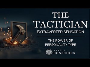 The Tactician: Extraverted Sensation (Se) Explained | Power of Personality Type Series