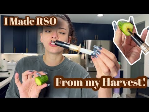 I Made RSO from my Harvest!