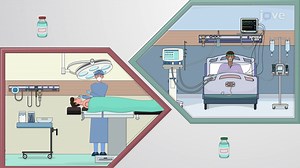 Video: Skeletal Muscle Relaxants: Therapeutic Uses