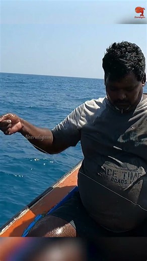 Deep Sea Fishing Videos #fishing #fishingvideos #fishingtime