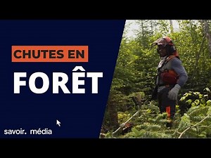 Chutes en forêt - Facteurs de risque, saison 2