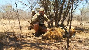 King of Beasts | Tom Miranda Hunting Safaris