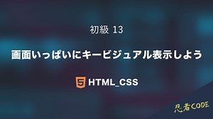 忍者CODE