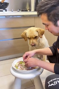 10K views · 192 reactions | This dog’s temper is not ordinary.藍藍 #dog #dogfunny #dogfun #viraldog #pet | KiKi SMD | Facebook