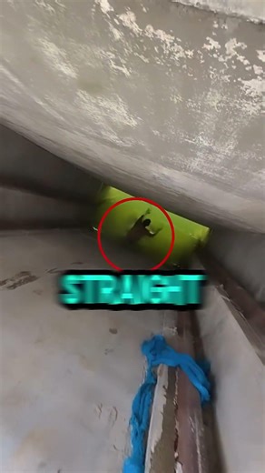 Alex Explores What's Hidden Underwater at This Secret Location!