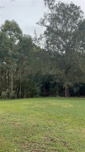 Today, along with my fellow councillors, I attended Council’s Clean Up Australia Day event, where community volunteers were out in force helping to clean up litter across our City. It was fantastic to see so many people giving up their time to keep our neighbourhoods clean and looking their best. There will also be a number of additional clean-up days held over the coming weeks across our City by various organisations, and I encourage everyone to get involved if you can. A big thank you to the m