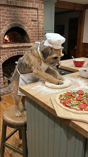 This Dog Just Made a Pizza 🍕