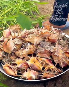 12M views · 256K reactions | Adobong Saang (Spider Shell) | Joseph The Explorer | Facebook