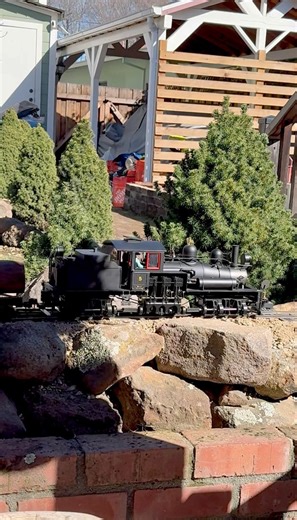 The original Bachmann 1:20.3 Shay climbing out of the camp.