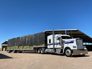 Wholesale Hay for Sale