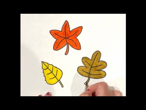 How to draw fall leaves (Easy, Step-by-Step, Autumn) @AlliesArtforKids