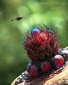 How @luke_penry.exr seedatworld ・・・ Scalper bots when they see a #3080ti Sound on 🔈 - - - - - - #3dsmax #vraynext #cinema4d #3d #abstractart #aftereffects #motiongraphics #blender3d #art #vfx #render #makearteveryday #digitalart #everyday #nftartist #3dart #naturephotography #abstractart #mdcommunity #mgcollective #thegraphicspr0ject #nft #cgexcellence #howiseedatworld #projectuno #instadaily #dailyrender #tyflow #macro | Howiseedatworld