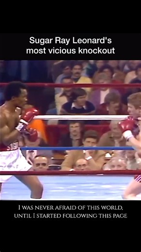 fighting_club on Instagram: "Sugar Ray leanard most vicious knockouts 🥶.. . . . .Disclaimer: I do not own the original video с footage used in this content. All rights belong to their respective owners. This video has been edited, enhanced, and repurposed by me with text overlays and effects for educational and informational purposes only. If any owner has issues with their content being used, kindly contact us. We respect a original creators. #mma #ufc #boxing #bjj #muaythai kickboxing jiujits