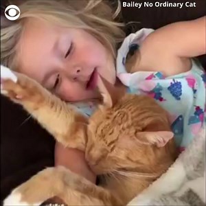 575K views · 82K reactions | TWO ANGELS: This little girl singing her cat to sleep and feeding him like a baby will melt your heart. https://cbsn.ws/2p5s3B0 | CBS News | Facebook