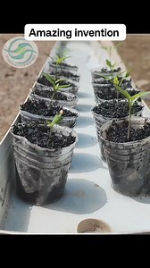 389K views · 4.1K reactions | Amazing invention for your plants #diy #diyprojects | The plantskeeper | Facebook