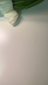 83 reactions | Razer DeathAdder V4 Pro Review ✨ เมาส์สีขาวที่ถูกใจ ต้องตัวนี้เท่านั้นอะดิ #Razer #DeathAdderV4Pro #ForThePro #jib #renarin | Renarin | Facebook