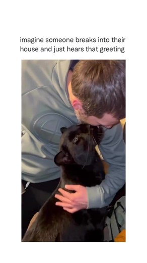 Oh hell nah… #fyp #foryou #foryoupage #viral #memes