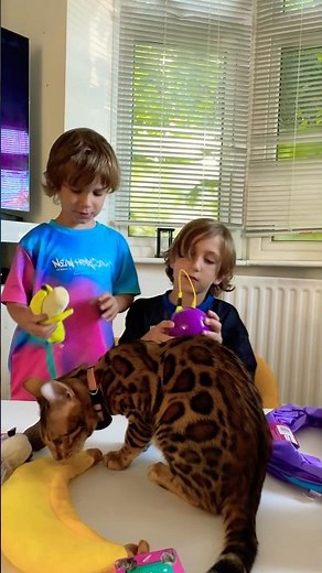 Kids Show New Toys to Their Bengal Cat 🐆🎉 | Cute Family Pet Video